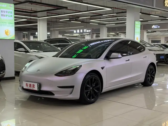 Model 3 2022 Model Rear-wheel drive version – фото 1
