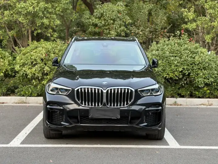 BMW X5 2022 Model xDrive 30Li Exclusive Model M Sports Set – фото 2