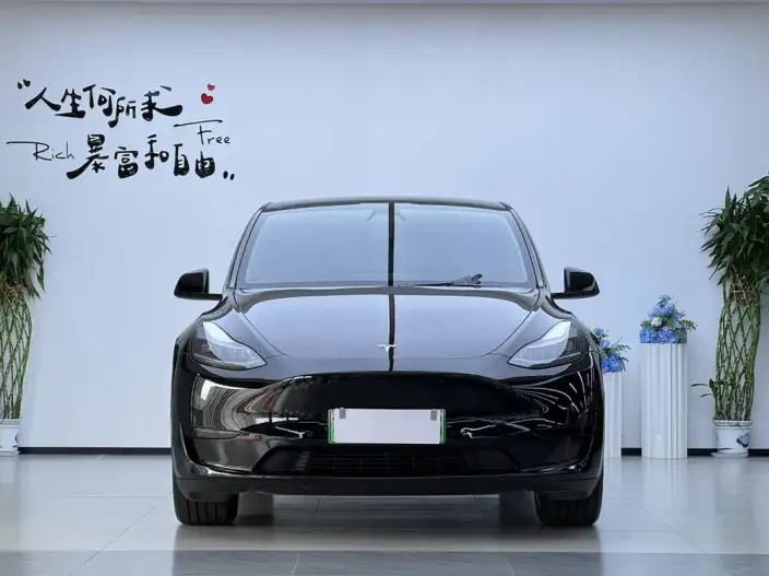Model Y 2022 Model Facelift Rear-wheel drive version – фото 2