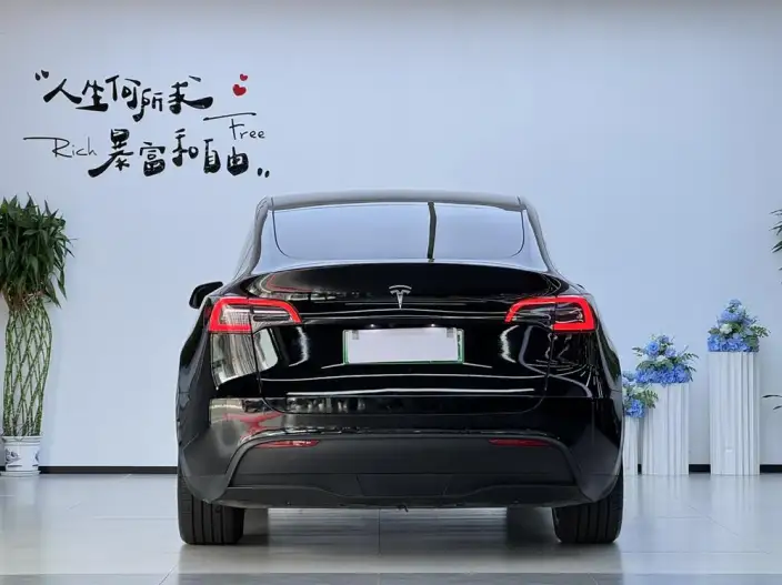 Model Y 2022 Model Facelift Rear-wheel drive version – фото 5