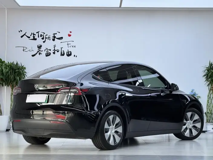 Model Y 2022 Model Facelift Rear-wheel drive version – фото 6