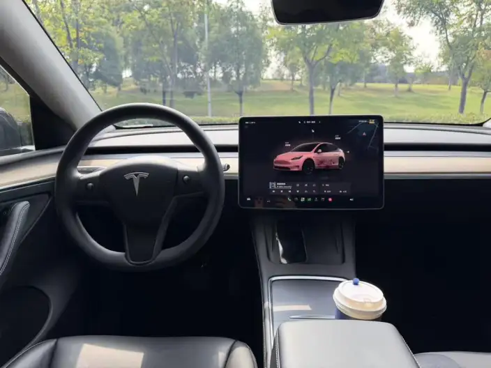 Model Y 2022 Model Facelift Rear-wheel drive version – фото 7