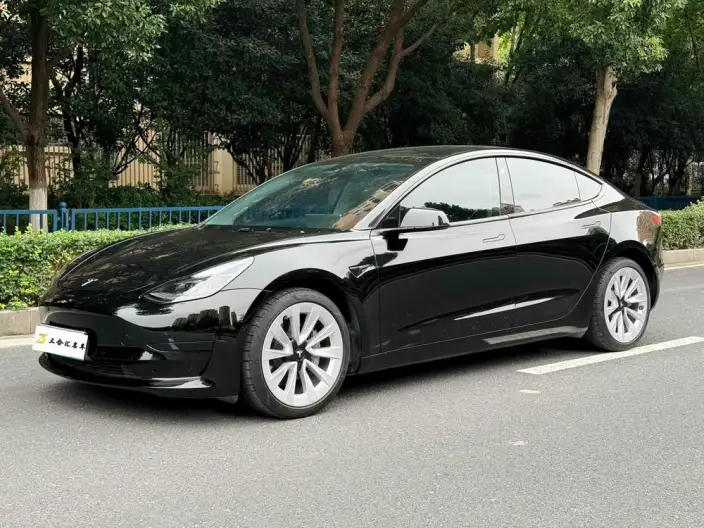 Model 3 2022 Model Rear-wheel drive version – фото 1