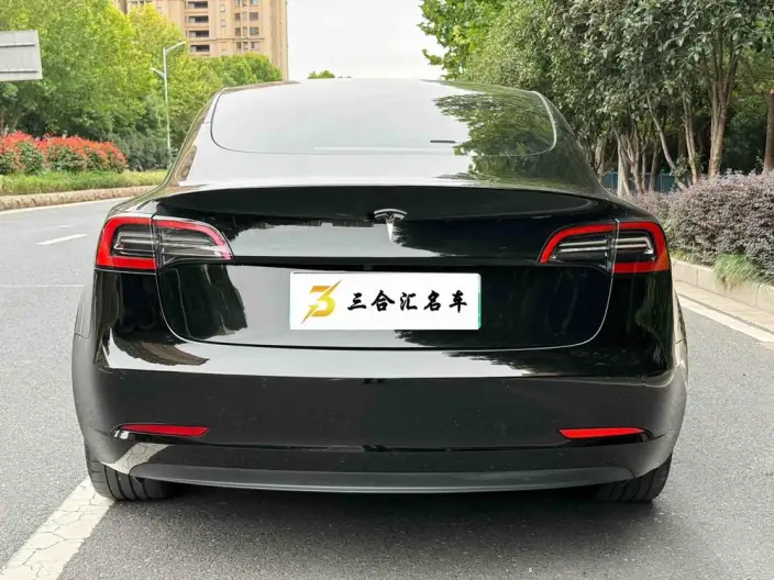 Model 3 2022 Model Rear-wheel drive version – фото 5