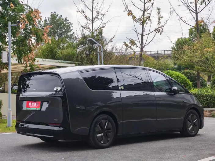 Li Auto MEGA 2025 Model Home Family Special Edition – фото 5