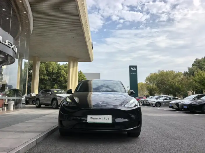 Model Y 2022 Model Facelift Rear-wheel drive version – фото 2
