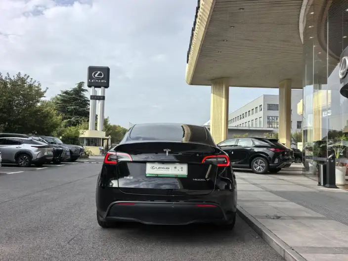 Model Y 2022 Model Facelift Rear-wheel drive version – фото 5
