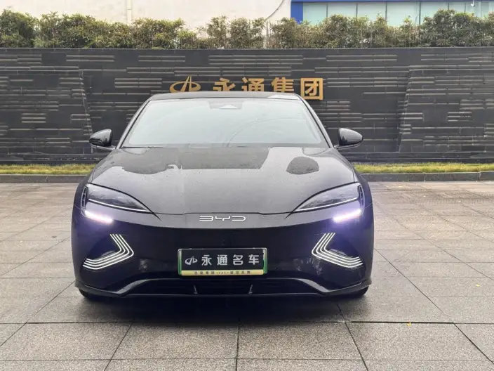 BYD Seal 2023 Model 550KM Champion Edition Noble Model – фото 2