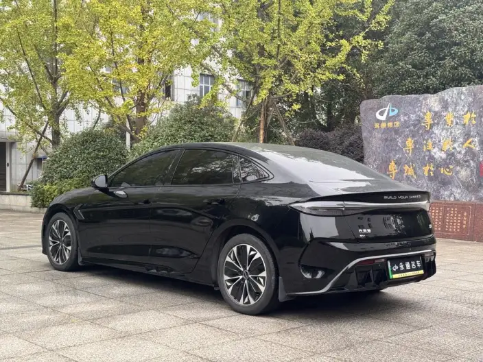 BYD Seal 2023 Model 550KM Champion Edition Noble Model – фото 4