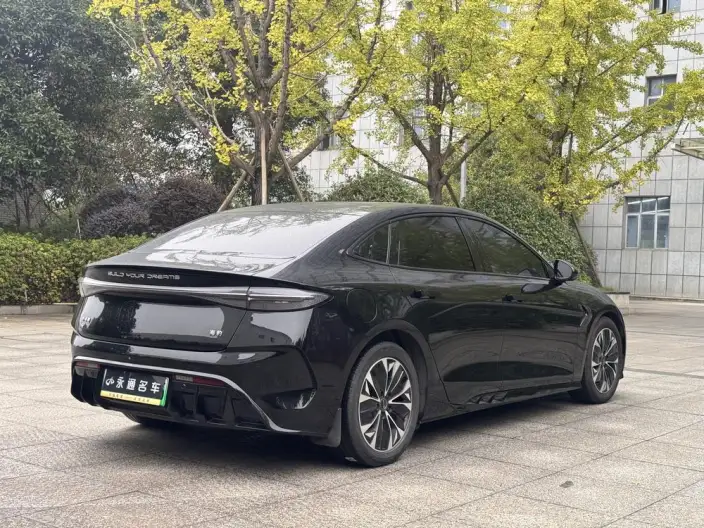 BYD Seal 2023 Model 550KM Champion Edition Noble Model – фото 6