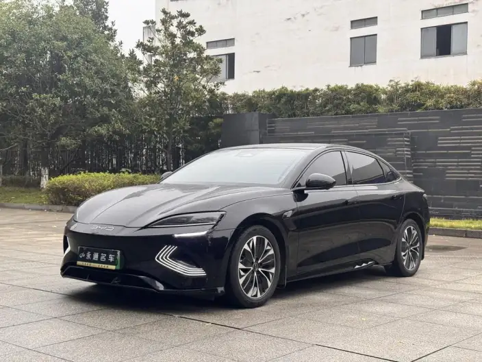 BYD Seal 2023 Model 550KM Champion Edition Noble Model – фото 8