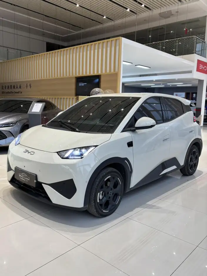 BYD Seagull 2025 Model Smart Driving Edition 305KM Free Edition – фото 1