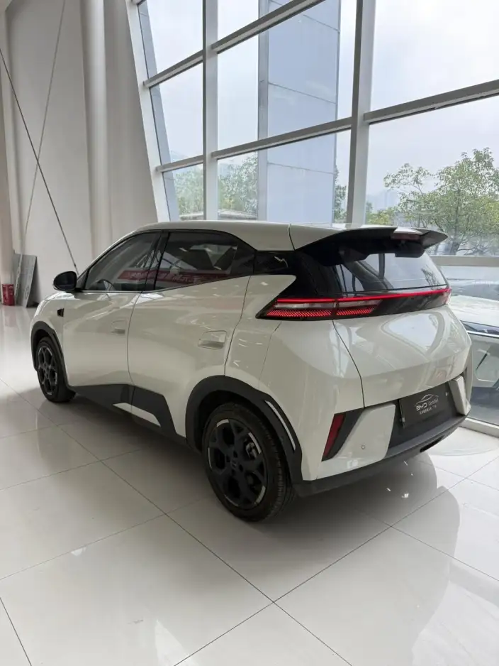 BYD Seagull 2025 Model Smart Driving Edition 305KM Free Edition – фото 4