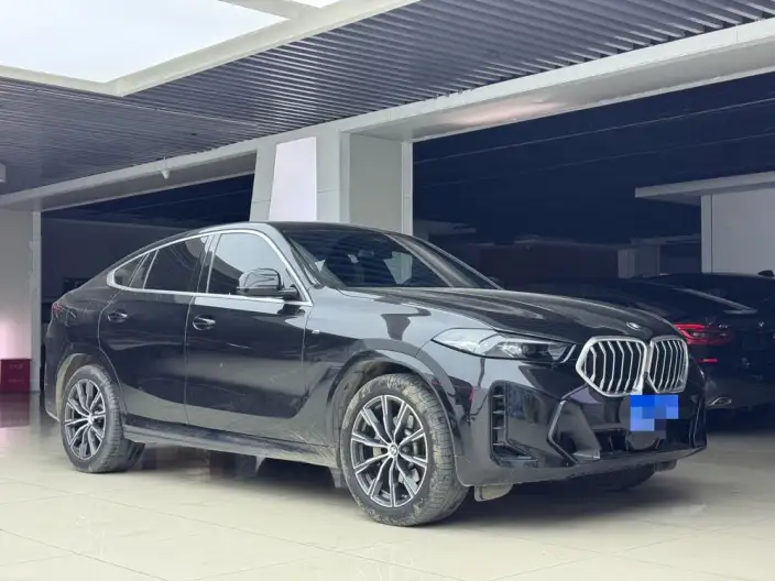 BMW X6 2023 Model Facelift xDrive30i M Sports Set – фото 3