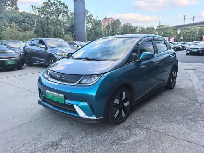 BYD Dolphin 2021 Model Knight Edition – фото 1