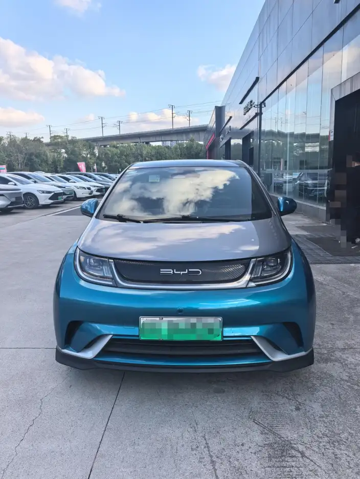 BYD Dolphin 2021 Model Knight Edition – фото 2