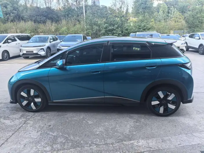 BYD Dolphin 2021 Model Knight Edition – фото 3
