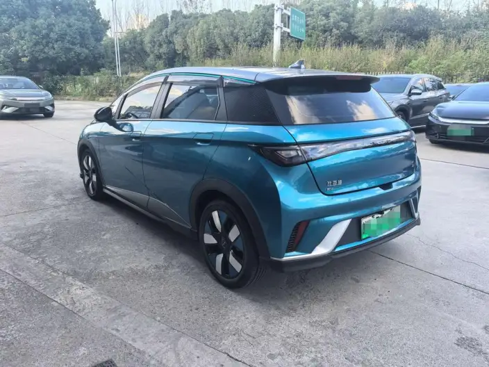 BYD Dolphin 2021 Model Knight Edition – фото 4