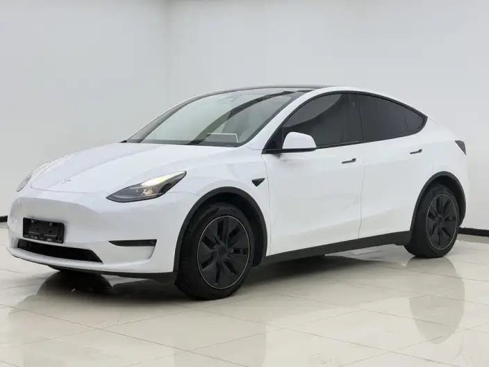 Model Y 2022 Model Long Battery Life Pro All-wheel drive version – фото 1