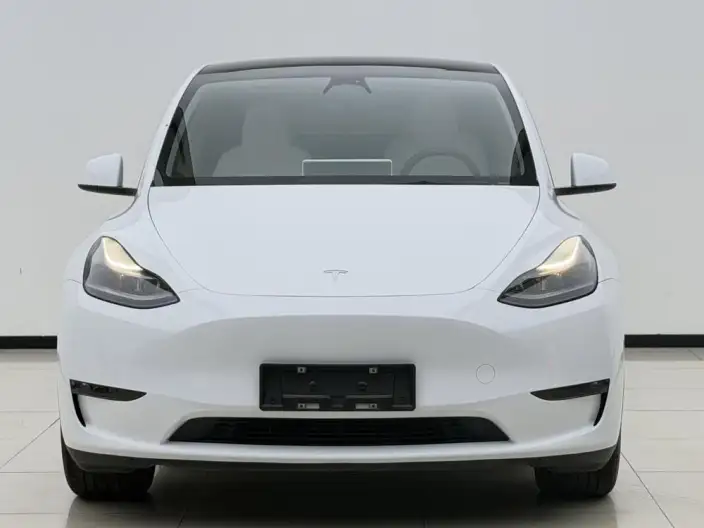 Model Y 2022 Model Long Battery Life Pro All-wheel drive version – фото 2
