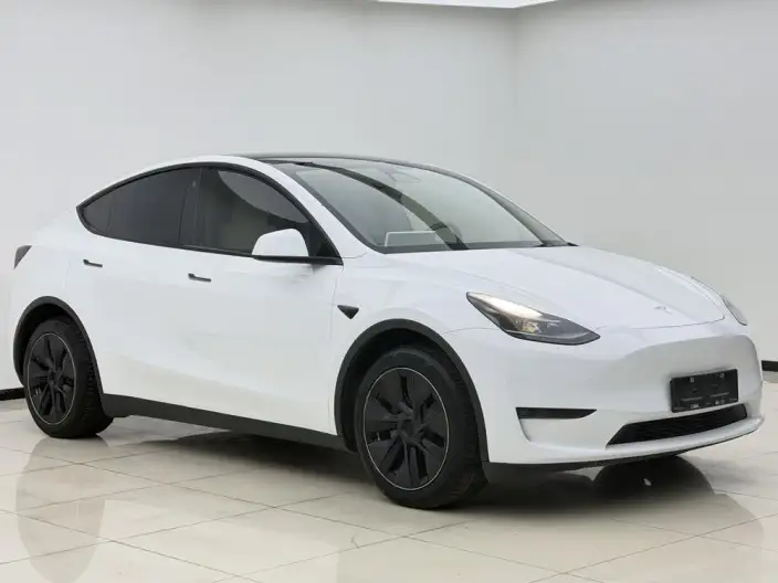 Model Y 2022 Model Long Battery Life Pro All-wheel drive version – фото 3