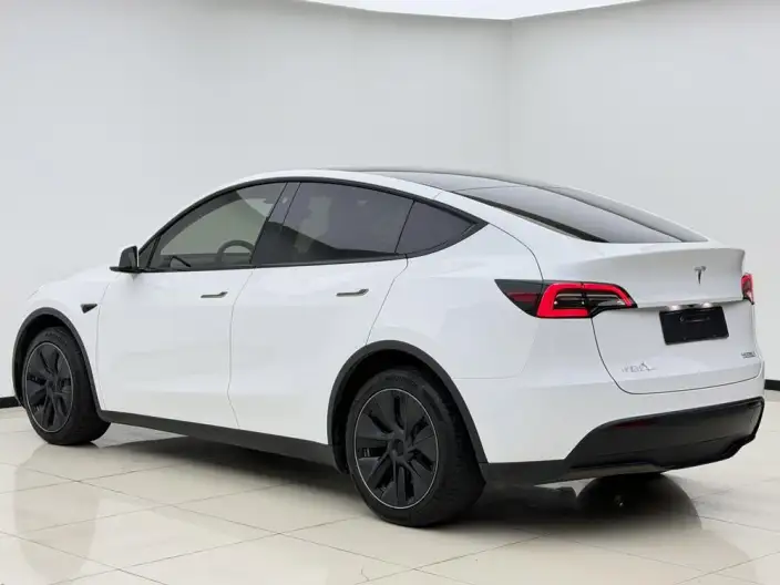 Model Y 2022 Model Long Battery Life Pro All-wheel drive version – фото 4