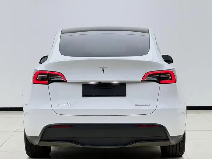 Model Y 2022 Model Long Battery Life Pro All-wheel drive version – фото 5
