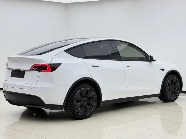 Model Y 2022 Model Long Battery Life Pro All-wheel drive version – фото 6