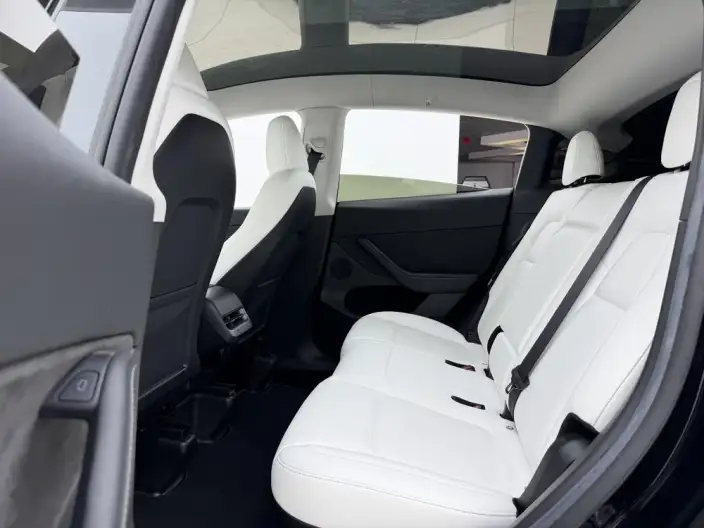 Model Y 2022 Model Long Battery Life Pro All-wheel drive version – фото 10