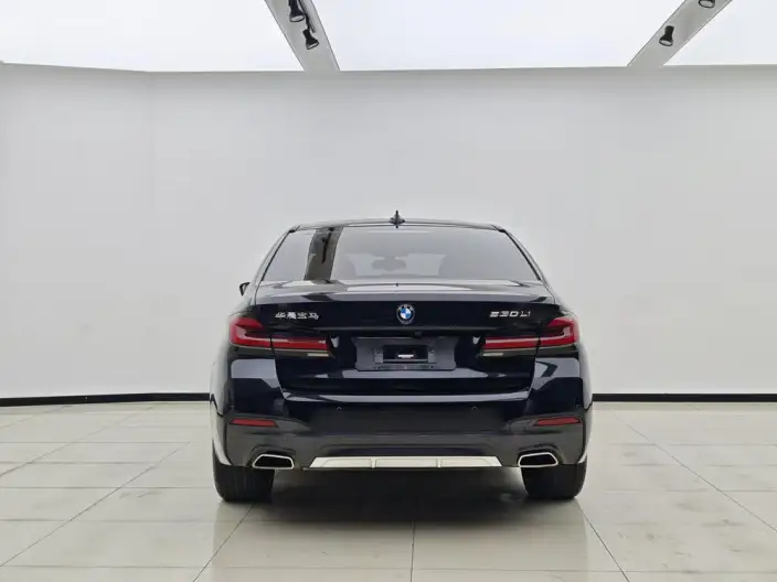 BMW 5 Series 2023 Model Facelift 530Li Leading Model M Sports Set – фото 5