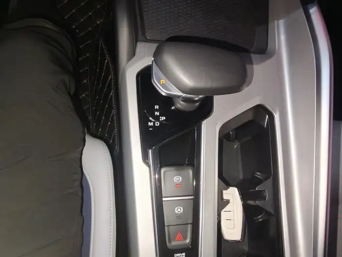 Geely StarRui 2023 Model 2.0T Noble Model – фото 9