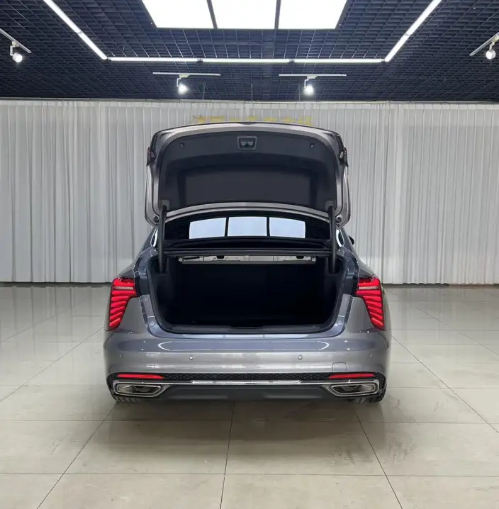Hongqi H5 2023 Model 2.0T Automatic Flag Lead Edition – фото 8