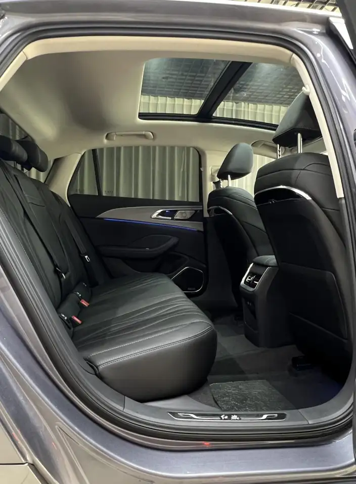 Hongqi H5 2023 Model 2.0T Automatic Flag Lead Edition – фото 10