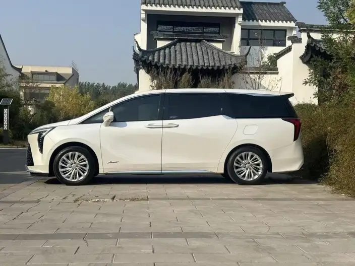 Century 2023 Model 2.0T VI seat Yunshi Edition