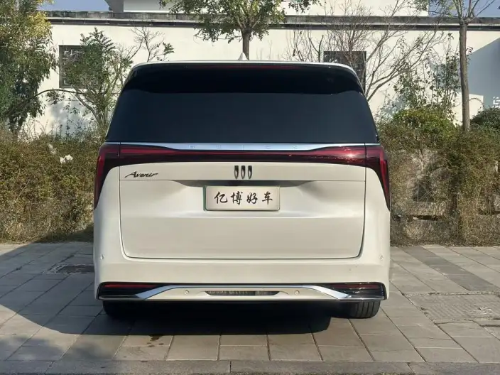 Century 2023 Model 2.0T VI seat Yunshi Edition – фото 6