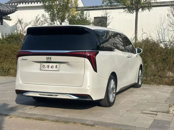 Century 2023 Model 2.0T VI seat Yunshi Edition – фото 7