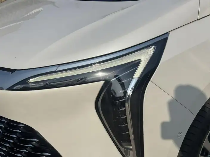 Century 2023 Model 2.0T VI seat Yunshi Edition – фото 8