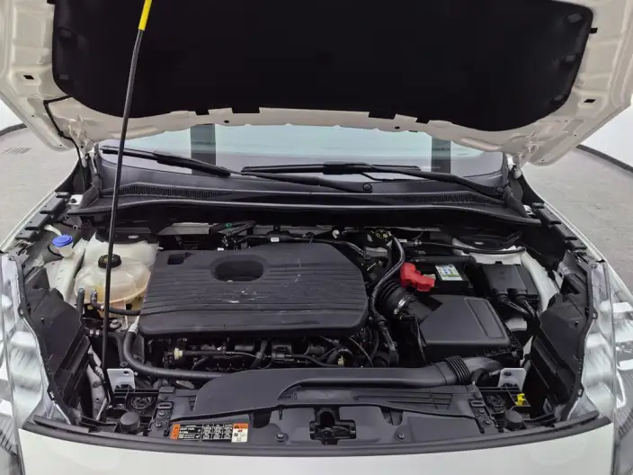 Ford Escape 2020 Model EcoBoost 245 2WD Shine Xiang Model – фото 10