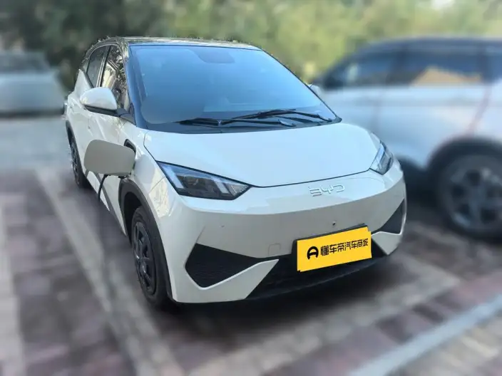 BYD Seagull 2026 Model Vitality Edition