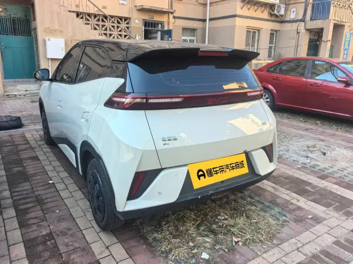 BYD Seagull 2026 Model Vitality Edition