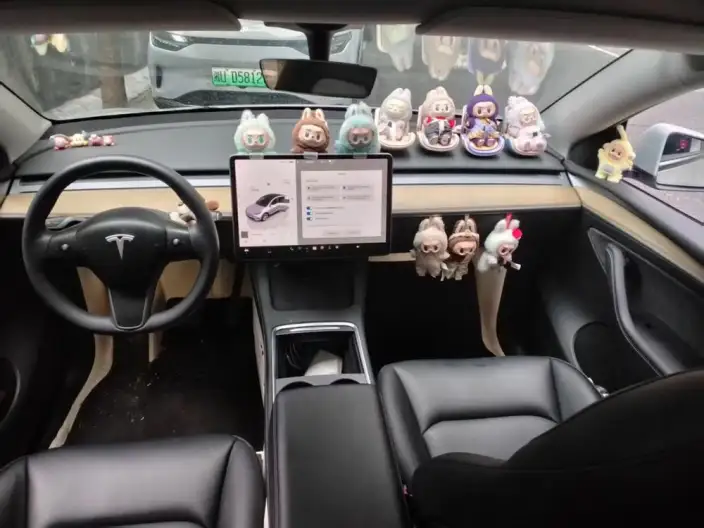 Model Y 2022 Model Facelift Rear-wheel drive version – фото 7