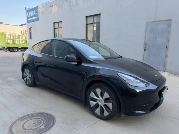 Model Y 2022 Model Rear-wheel drive version – фото 3