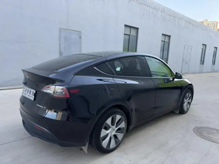 Model Y 2022 Model Rear-wheel drive version – фото 6