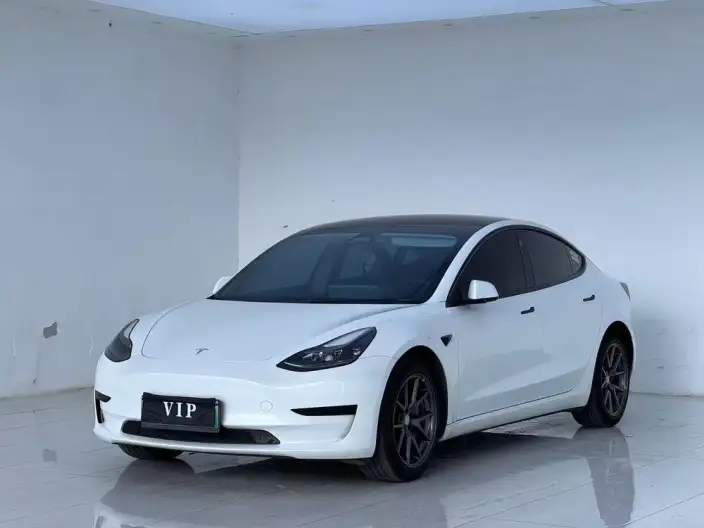 Model 3 2022 Model Rear-wheel drive version