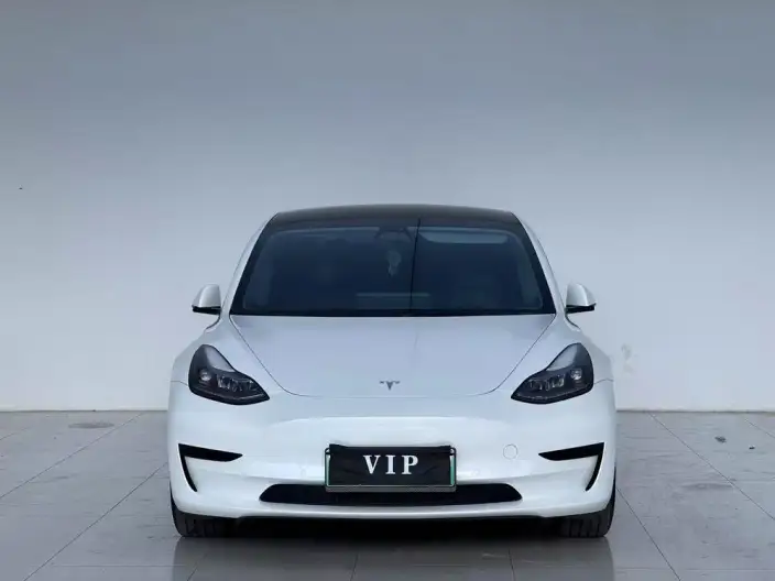 Model 3 2022 Model Rear-wheel drive version