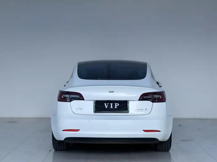 Model 3 2022 Model Rear-wheel drive version – фото 5