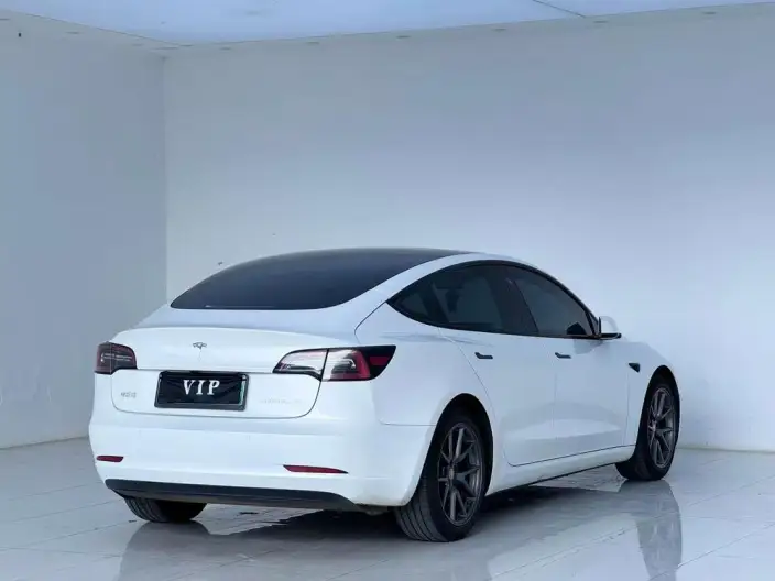 Model 3 2022 Model Rear-wheel drive version – фото 6