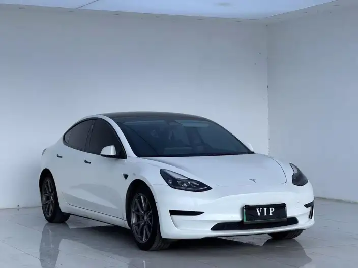 Model 3 2022 Model Rear-wheel drive version – фото 10