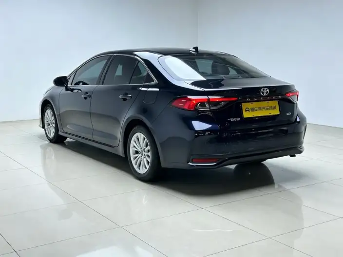 Asia Lion 2021 Model 2.0L Deluxe Edition – фото 5
