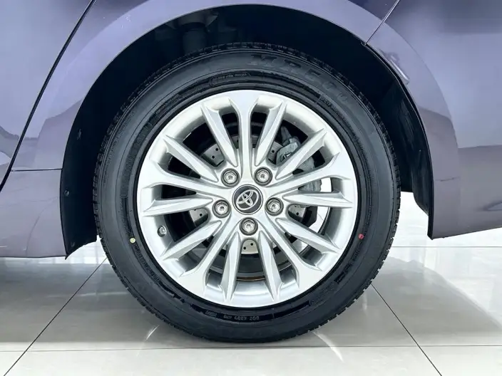 Asia Lion 2021 Model 2.0L Deluxe Edition – фото 9